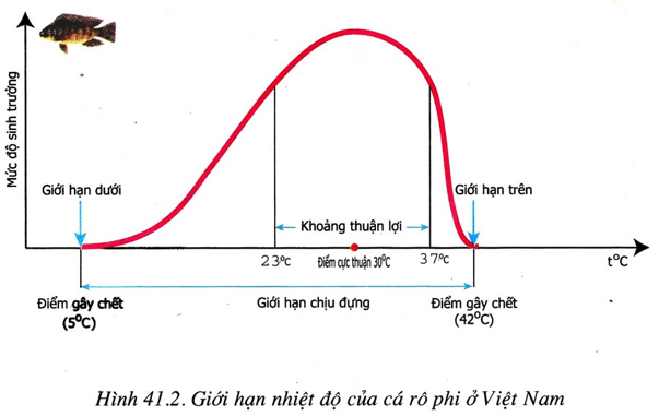 Lý thuyết Sinh học 11 Bài 39: Các nhân tố ảnh hưởng đến sinh trưởng và phát triển ở động vật (tiếp theo) | Lý thuyết Sinh học 11 ngắn gọn