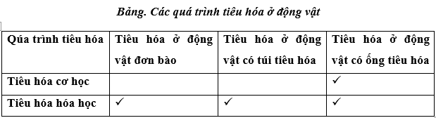 Lý thuyết Sinh học 11 Bài 22: Ôn tập chương 1 | Lý thuyết Sinh học 11 ngắn gọn