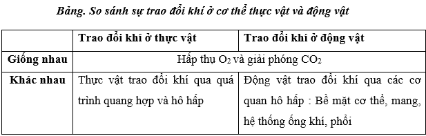 Lý thuyết Sinh học 11 Ôn tập chương 1 Chân trời sáng tạo, Cánh diều