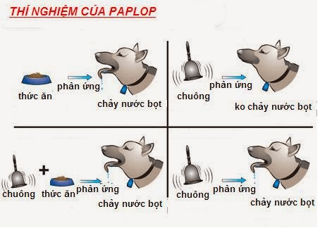 Lý thuyết Sinh học 11 Bài 32: Tập tính của động vật (tiếp theo) | Lý thuyết Sinh học 11 ngắn gọn