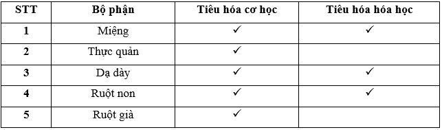 Lý thuyết Sinh học 11 Bài 15 Kết nối tri thức, Chân trời sáng tạo, Cánh diều