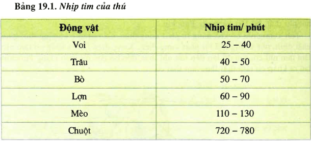 Lý thuyết Sinh học 11 Bài 19 Kết nối tri thức, Chân trời sáng tạo, Cánh diều