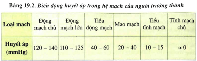 Lý thuyết Sinh học 11 Bài 19 Kết nối tri thức, Chân trời sáng tạo, Cánh diều