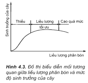 Lý thuyết Sinh học 11 Bài 4: Vai trò của các nguyên tố khoáng | Lý thuyết Sinh học 11 ngắn gọn