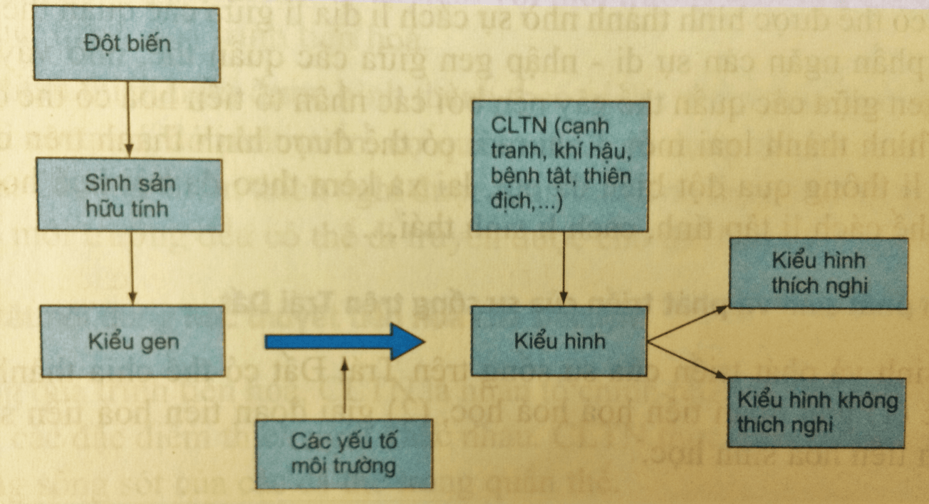 Giải bài 2 trang 212 sgk Sinh 12 | Để học tốt Sinh 12