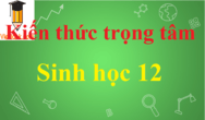 Giải bài tập Lịch Sử 12 | Để học tốt Lịch Sử 12