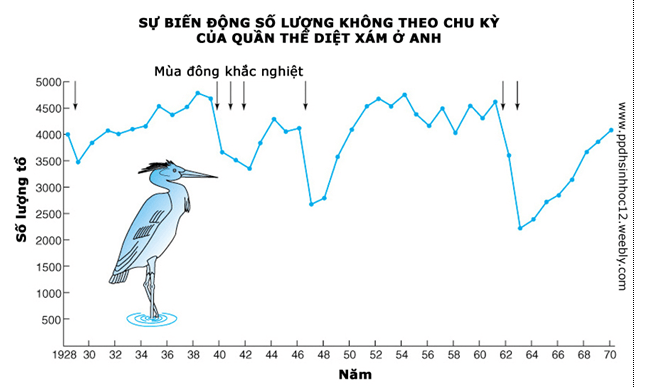 Lý thuyết Sinh học 12 Bài 39: Biến động số lượng cá thể của quần thể sinh vật (hay, ngắn gọn)