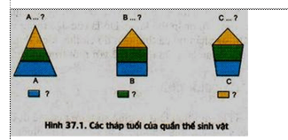 Lý thuyết Sinh học 12 Bài 37: Các đặc trưng cơ bản của quần thể sinh vật (hay, ngắn gọn)