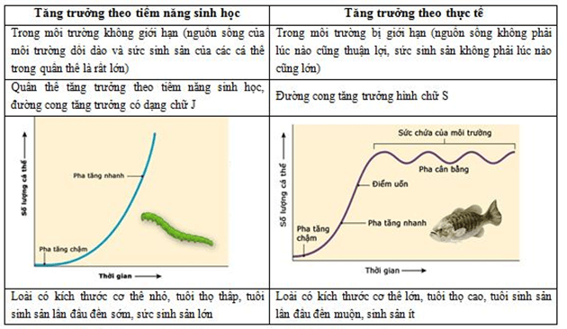 Lý thuyết Sinh học 12 Bài 38: Các đặc trưng cơ bản của quần thể sinh vật (tiếp theo) (hay, ngắn gọn)