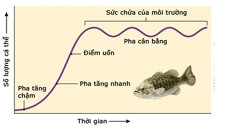 Lý thuyết Sinh học 12 Bài 38: Các đặc trưng cơ bản của quần thể sinh vật (tiếp theo) (hay, ngắn gọn)