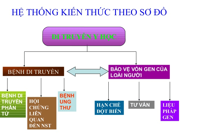 Lý thuyết Sinh học 12 Bài 21: Di truyền y học (hay, ngắn gọn)