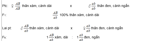 Lý thuyết Sinh học 12 Bài 11: Liên kết gen và hoán vị gen (hay, ngắn gọn)