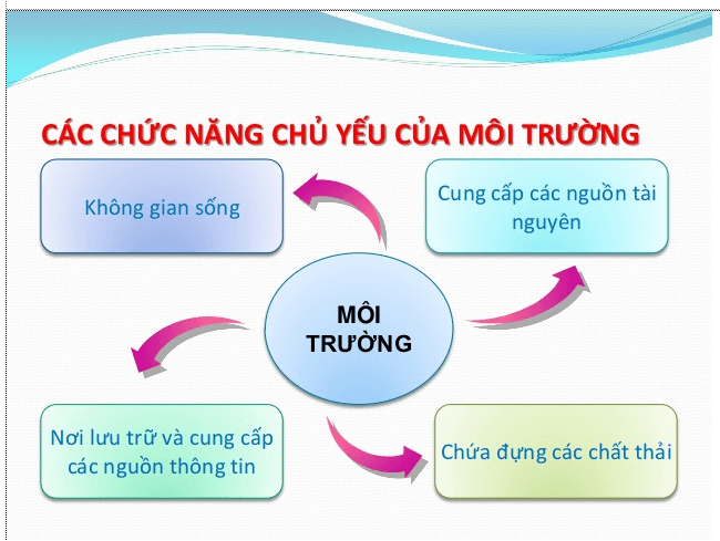 Lý thuyết Sinh học 12 Bài 35: Môi trường sống và các nhân tố sinh thái (hay, ngắn gọn)