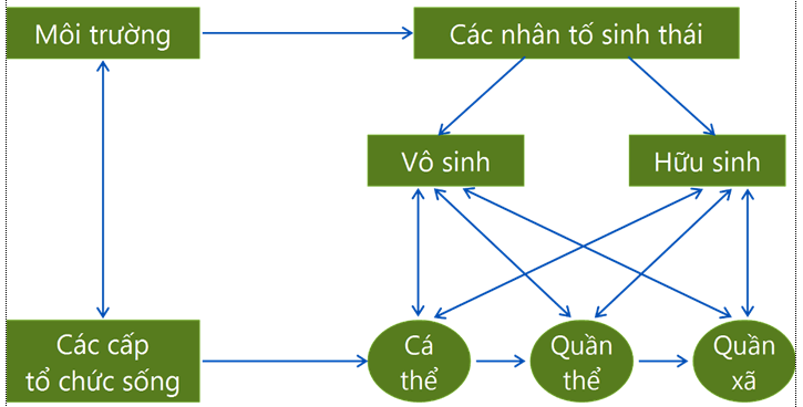 Lý thuyết Sinh học 12 Bài 35: Môi trường sống và các nhân tố sinh thái (hay, ngắn gọn)