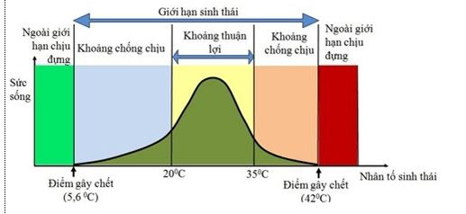 Lý thuyết Sinh học 12 Bài 35: Môi trường sống và các nhân tố sinh thái (hay, ngắn gọn)