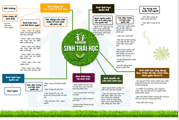 Lý thuyết Sinh học 12 Bài 47: Ôn tập phần tiến hóa và sinh thái học (hay, ngắn gọn)