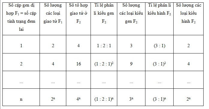 Lý thuyết Sinh học 12 Bài 9: Quy luật Menđen: Quy luật phân li độc lập (hay, ngắn gọn)