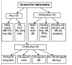 Lý thuyết Sinh học 12 Bài 46: Thực hành Quản lý và sử dụng bền vững tài nguyên thiên nhiên (hay, ngắn gọn)