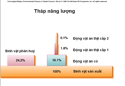 Lý thuyết Sinh học 12 Bài 43: Trao đổi vật chất trong hệ sinh thái (hay, ngắn gọn)