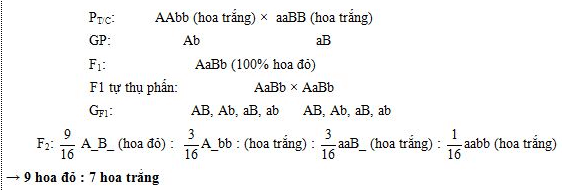 Lý thuyết Sinh học 12 Bài 10: Tương tác gen và tác động đa hiệu của gen (hay, ngắn gọn)