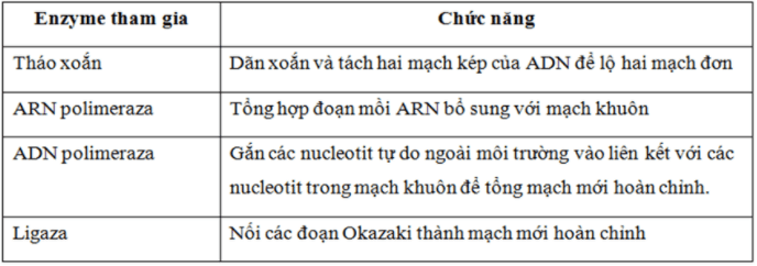 Bài 1: Gen, mã di truyền và quá trình nhân đôi ADN