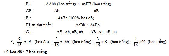 Bài 10: Tương tác gen và tác động đa hiệu của gen