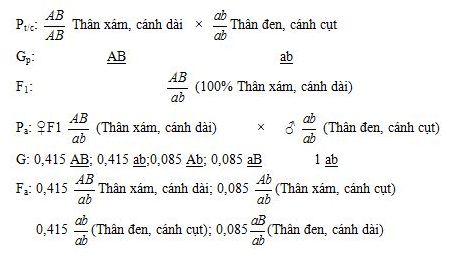 Bài 11: Liên kết gen và hoán vị gen