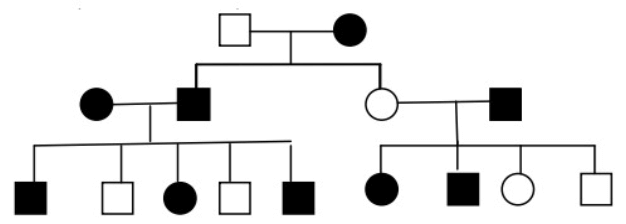 Bài 21: Di truyền y học