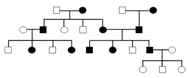 Bài 21: Di truyền y học