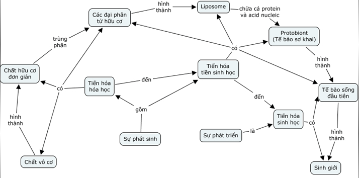 Bài 32: Nguồn gốc sự sống