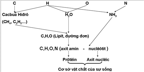 Bài 32: Nguồn gốc sự sống