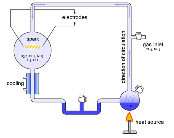 Bài 32: Nguồn gốc sự sống