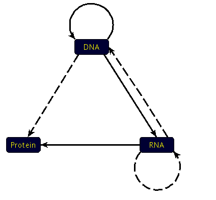 Bài 32: Nguồn gốc sự sống