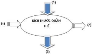 Bài 38: Các đặc trưng cơ bản của quần thể sinh vật (tiếp theo)