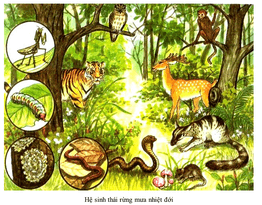 Bài 42: Hệ sinh thái