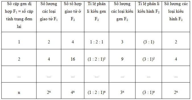 Bài 9: Quy luật Menđen: Quy luật phân li độc lậpBài 9: Quy luật Menđen: Quy luật phân li độc lập