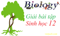 Giải bài tập Sinh học 12 | Để học tốt sinh học 12