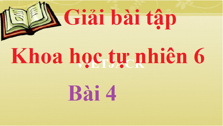 Giải bài tập Khoa học tự nhiên lớp 6 Bài 4 hay nhất