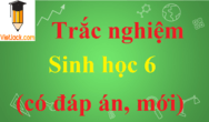 500 Câu hỏi trắc nghiệm Sinh học lớp 6 có đáp án