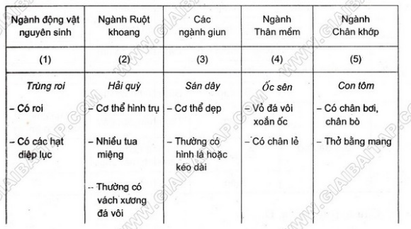 Giải bài 1 trang 101 sgk Sinh 7 | Để học tốt Sinh 7