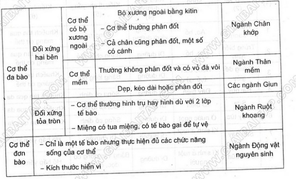 Giải bài 4 trang 101 sgk Sinh 7 | Để học tốt Sinh 7