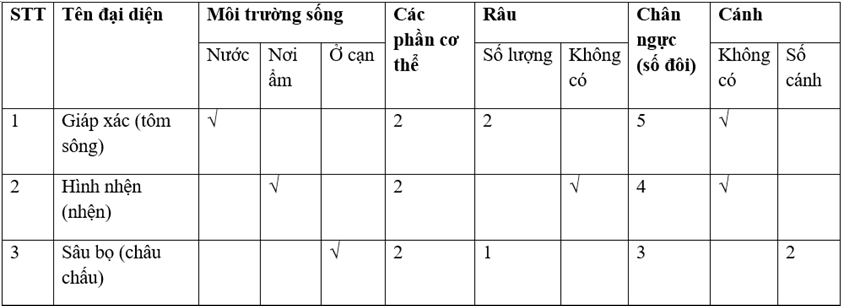 Lý thuyết Sinh học 7 Bài 29: Đặc điểm chung và vai trò của ngành Chân khớp hay, ngắn gọn