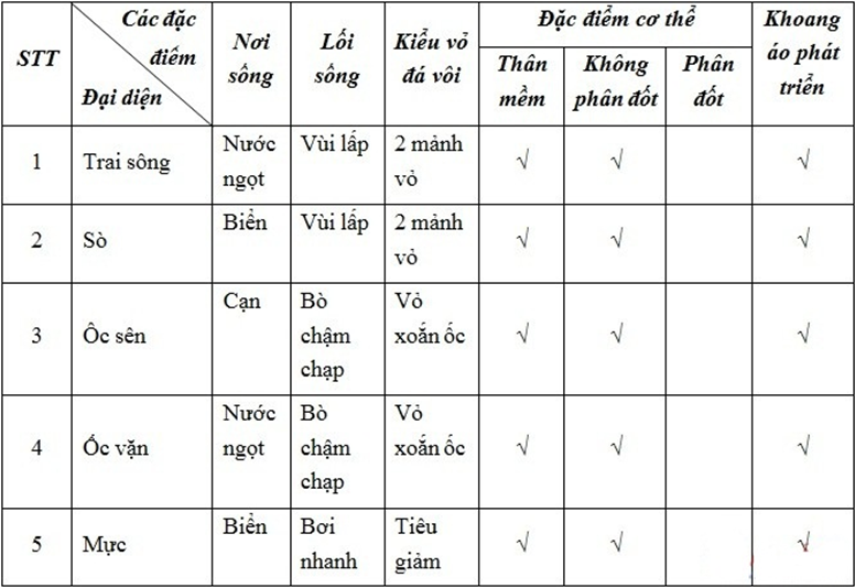 Lý thuyết Sinh học 7 Bài 21: Đặc điểm chung và vai trò của ngành Thân mềm hay, ngắn gọn