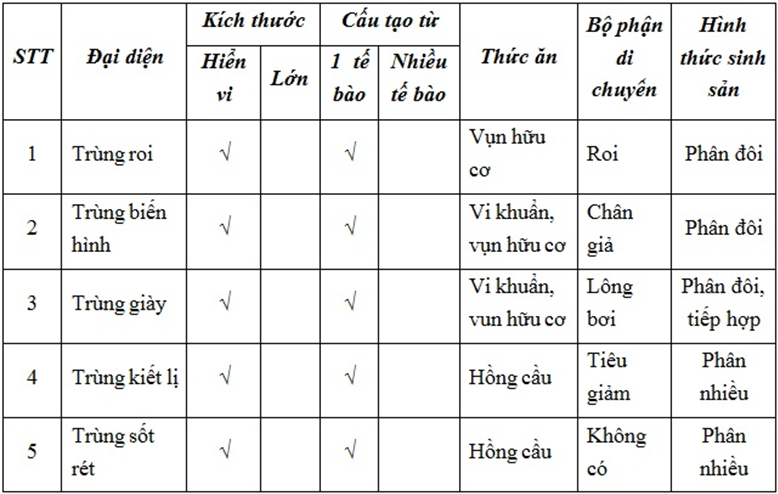 Lý thuyết Sinh học 7 Bài 7: Đặc điểm chung và vai trò thực tiễn của Động vật nguyên sinh hay, ngắn gọn