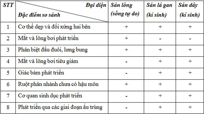 Lý thuyết Sinh học 7 Bài 12: Một số giun dẹp khác và đặc điểm chung của ngành Giun dẹp hay, ngắn gọn