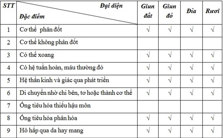 Lý thuyết Sinh học 7 Bài 17: Một số giun đốt khác và đặc điểm chung của ngành Giun đốt hay, ngắn gọn