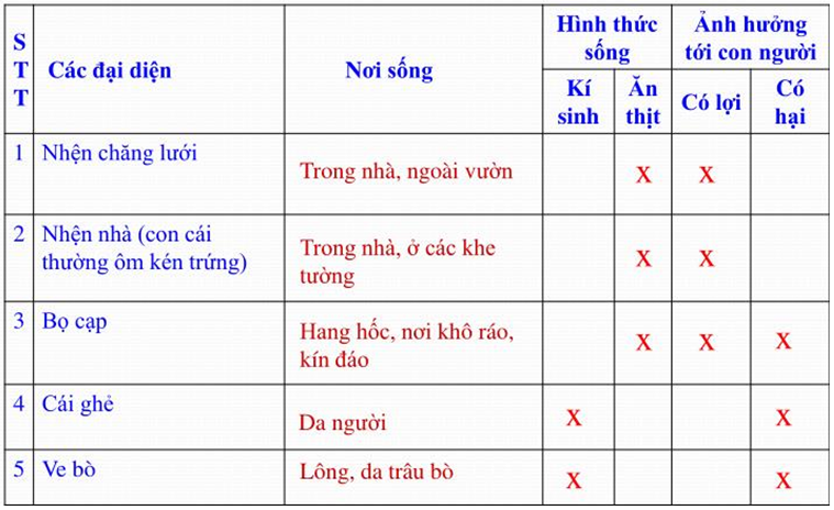 Lý thuyết Sinh học 7 Bài 25: Nhện và sự đa dạng của lớp hình nhện hay, ngắn gọn