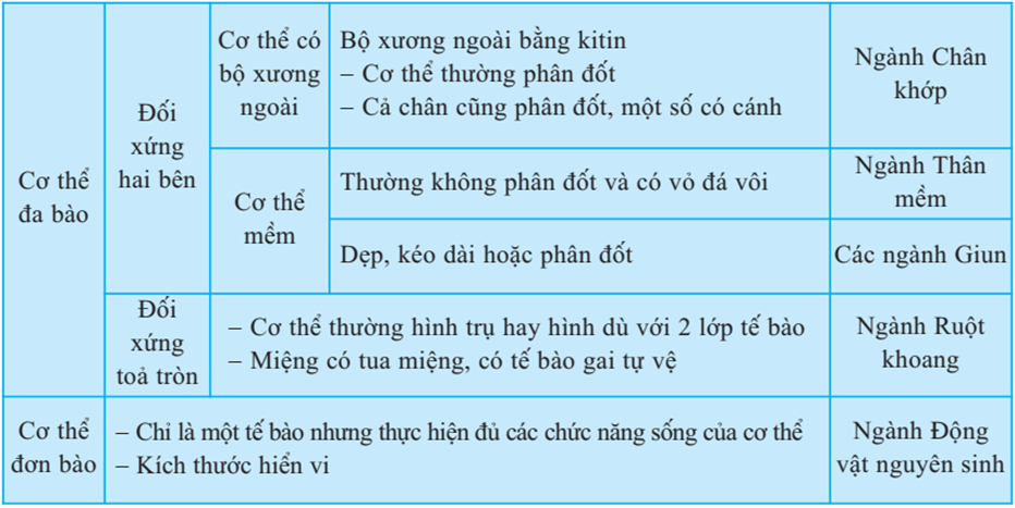 Lý thuyết Sinh học 7 Bài 30: Ôn tập phần 1 - Động vật không xương sống hay, ngắn gọn