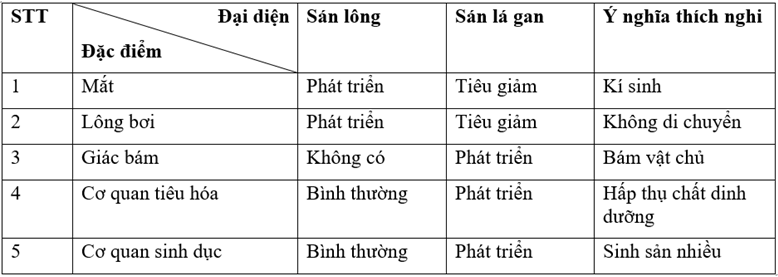 Lý thuyết Sinh học 7 Bài 11: Sán lá gan hay, ngắn gọn