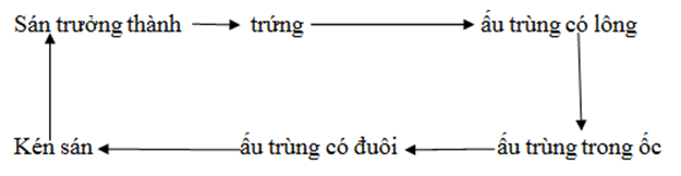 Lý thuyết Sinh học 7 Bài 11: Sán lá gan hay, ngắn gọn